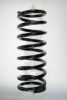 SPIDAN 49079 Coil Spring